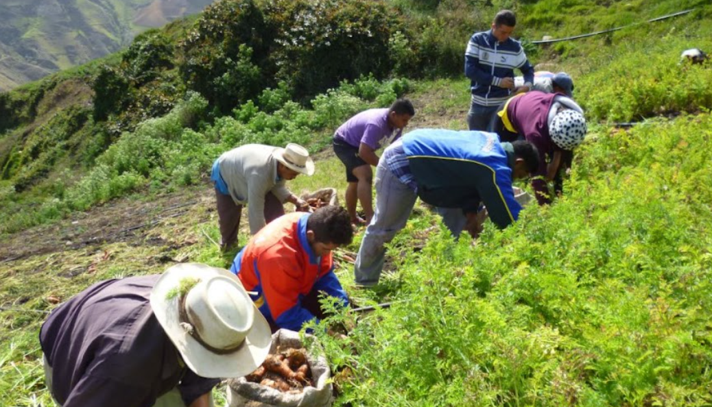 Campesinos associated with Cecosesola
