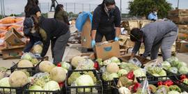Volunteers with the Harvest Project Food Rescue help prepare food to be distributed at Jaycee Zaragoza Park in Dallas, TX.