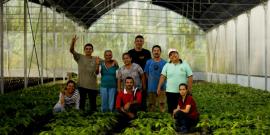 Workers of the Social Production Company Che Guevara 2021 of the Che Guevara Commune, in the Mérida state.