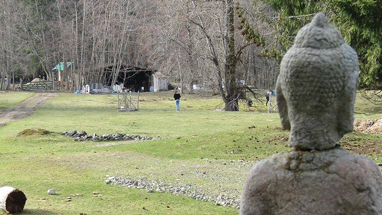 Buddha statue with a woman and some buildings in the background.