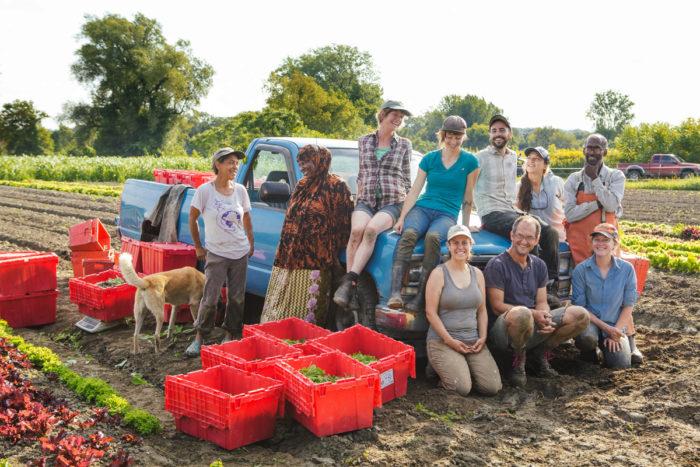 Digger's Mirth cooperative farm